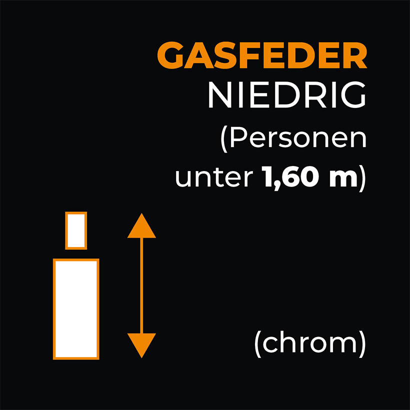 Gasfeder Chrom Niedrig Gasfeder Chrom Niedrig