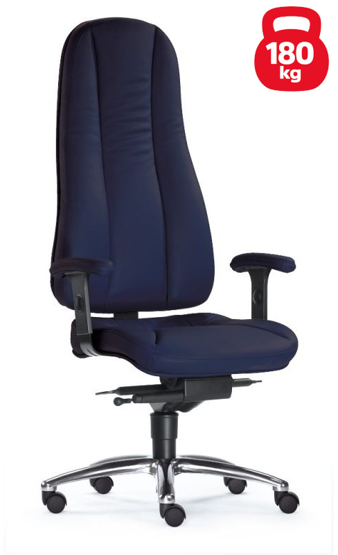 Dynamik Hochlehner - Home Office Chefsessel