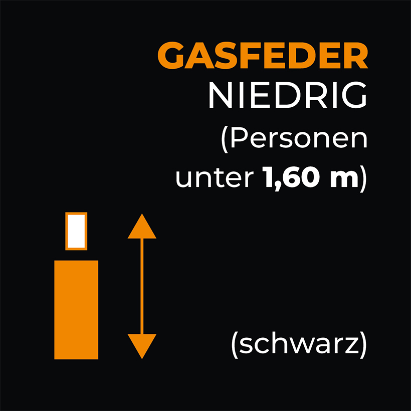 Gasfeder Schwarz Niedrig Gasfeder Schwarz Niedrig